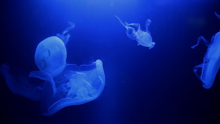 Image 51 of 51