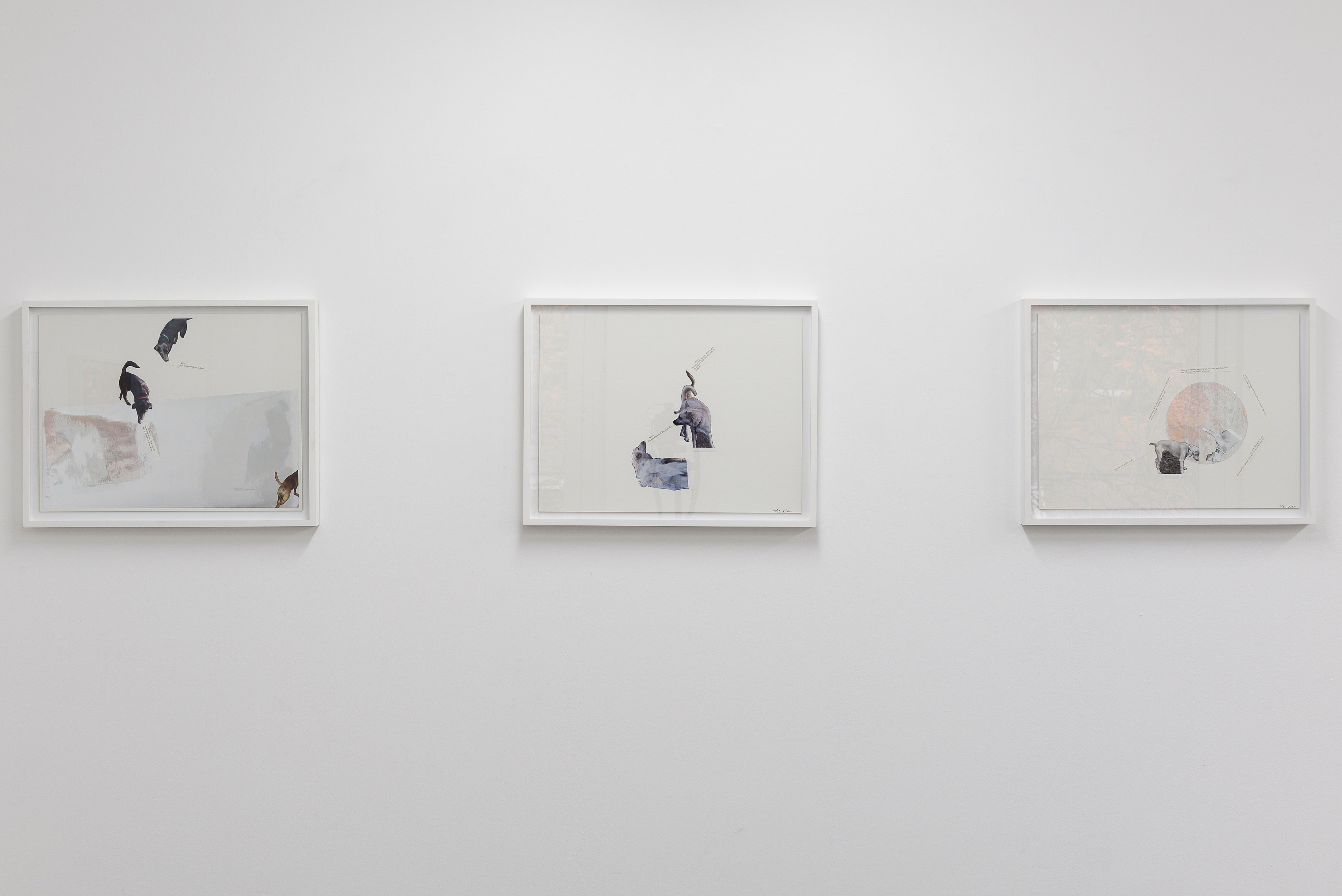Tom Burr, Abridged at MD 72, photo 20