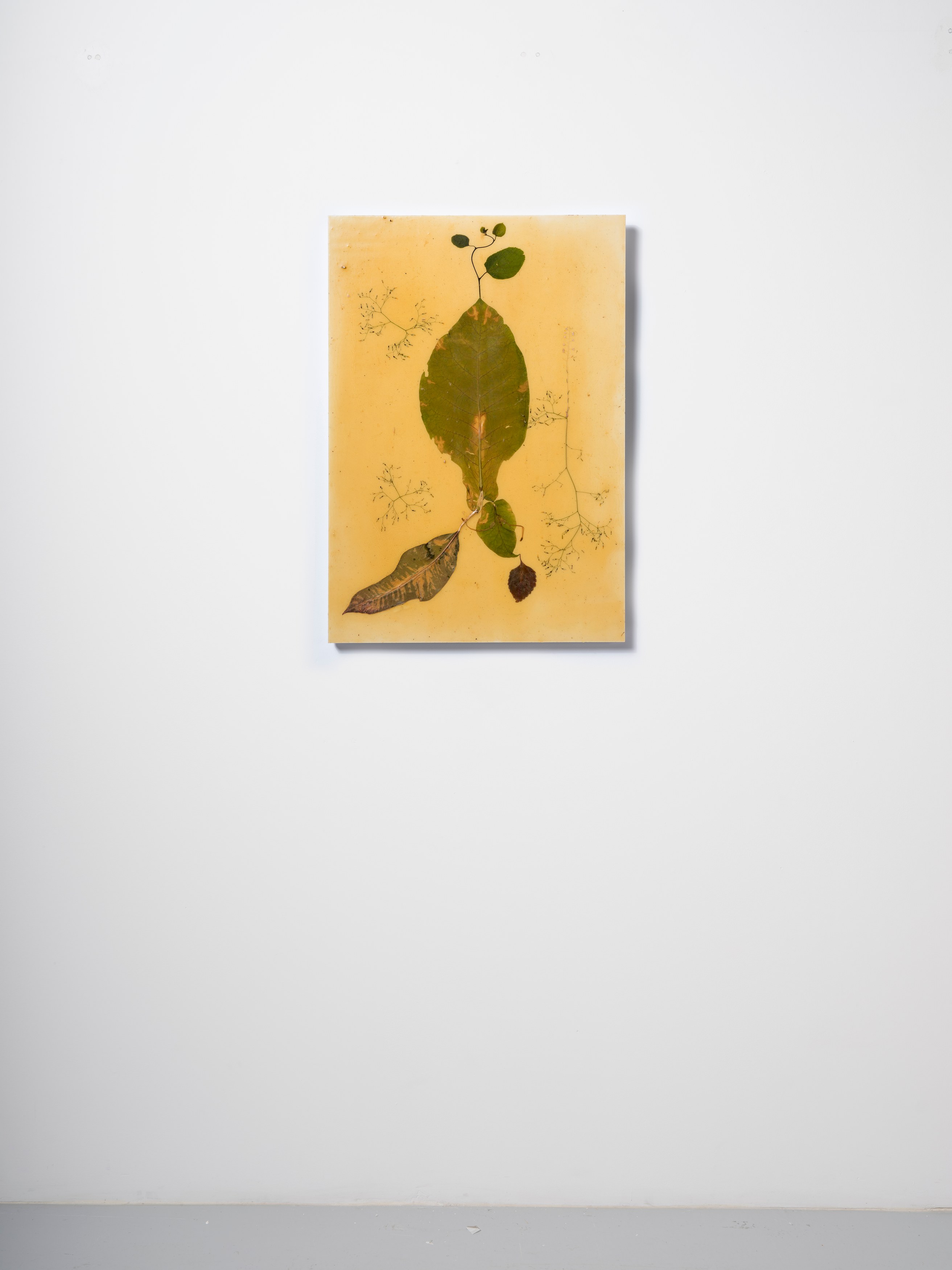 Haegue Yang, Quasi-ESP at Galerie Chantal Crousel, photo 18