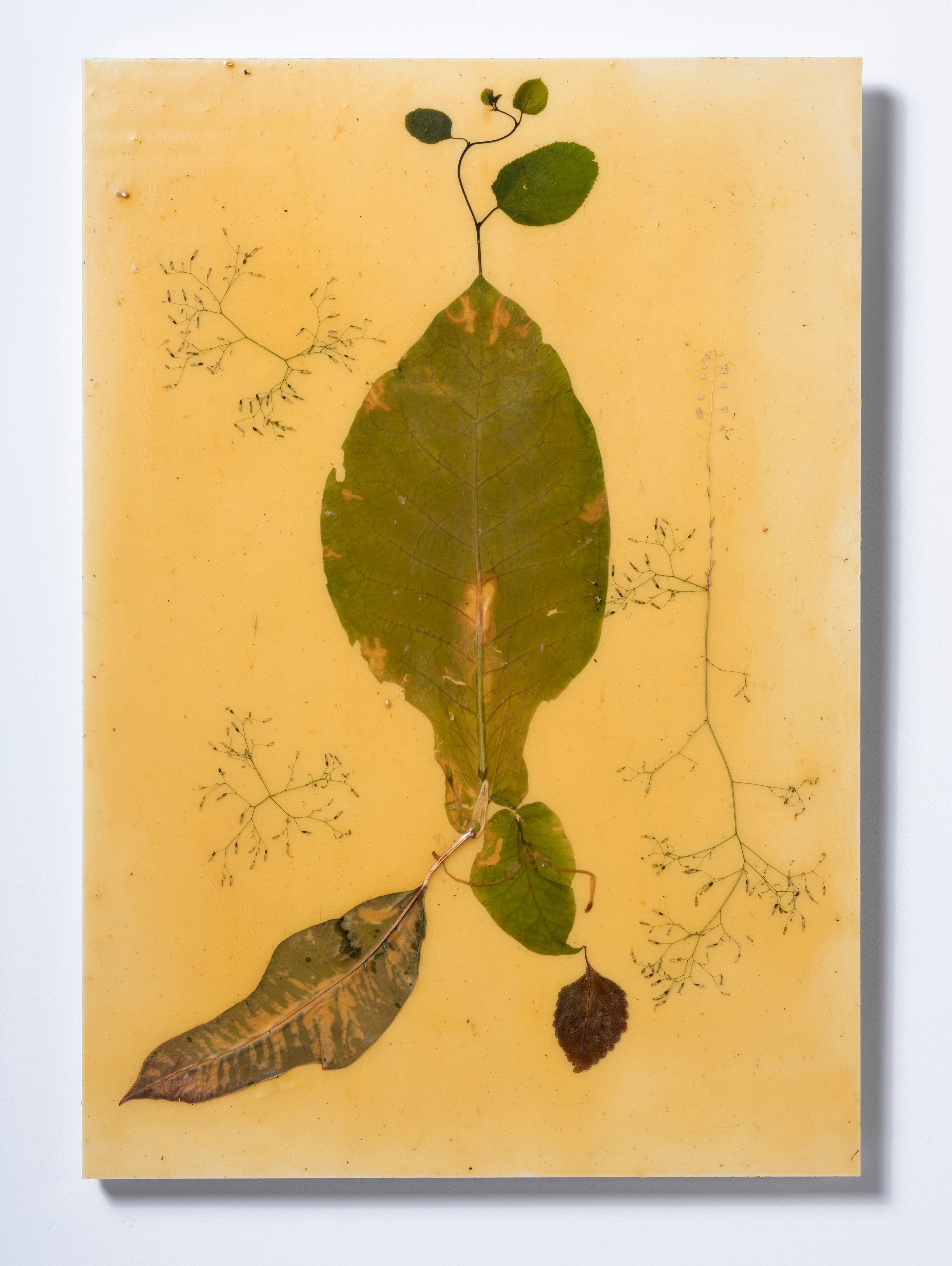 Haegue Yang, Quasi-ESP at Galerie Chantal Crousel, photo 19