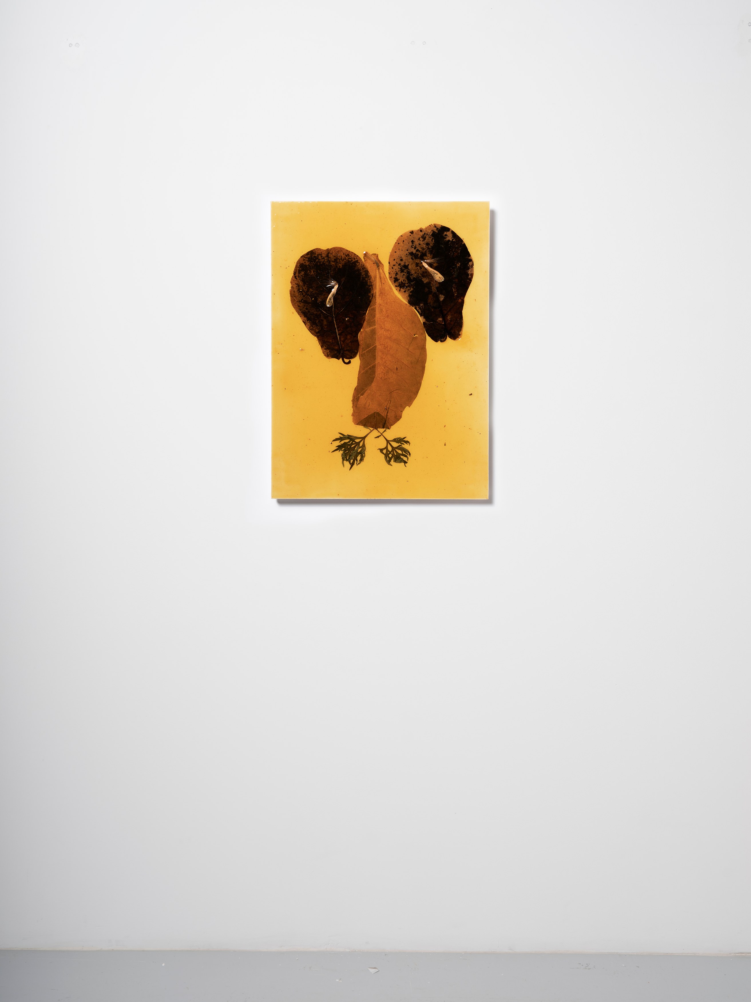 Haegue Yang, Quasi-ESP at Galerie Chantal Crousel, photo 20
