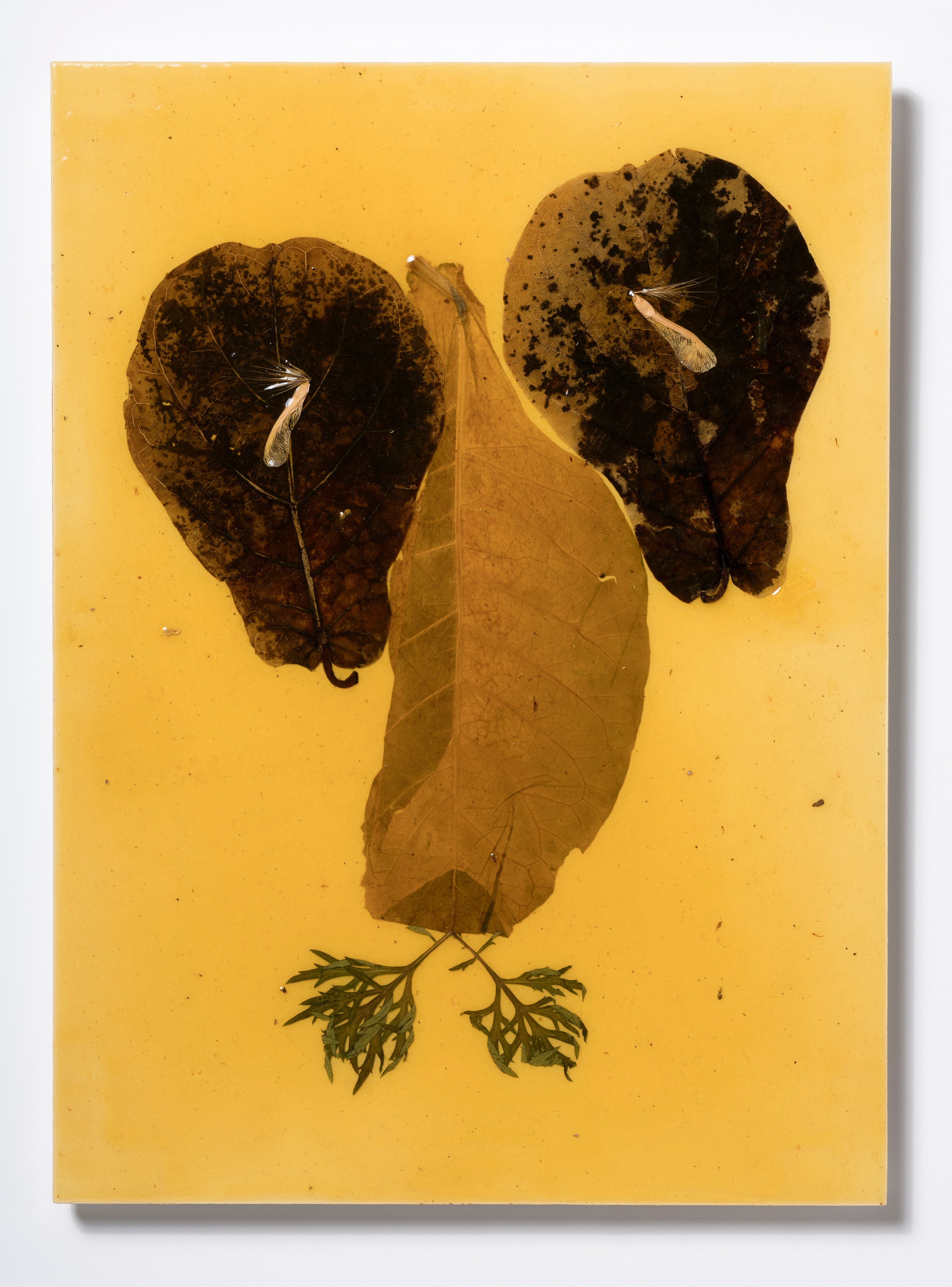 Haegue Yang, Quasi-ESP at Galerie Chantal Crousel, photo 21