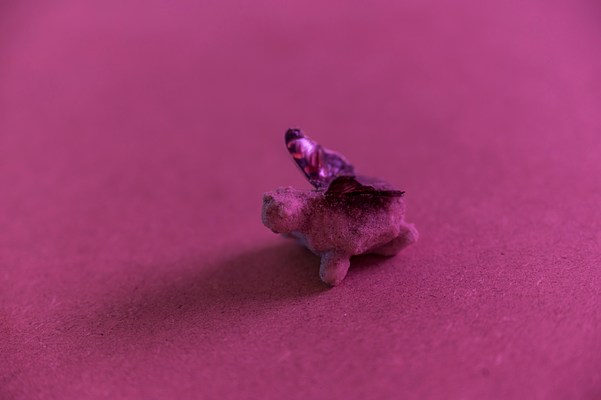Image 12 of 20