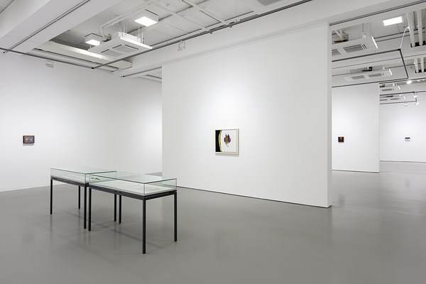 Image 2 of 30