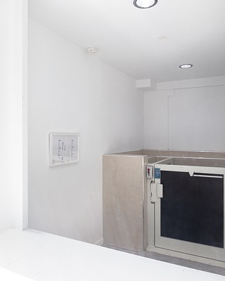 An angled view through the left window into the gallery, showing a framed artwork on the left and the gate and call buttons of a wheelchair lift to the right.