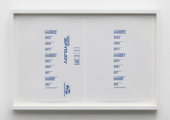 A framed artwork. The frame is painted white wood. The matte board is also white. The artwork is two pages of paper vertically oriented and side by side. The sheets are white, with graphically printed sparse numbers, lines, logos and text all in blue. All of the content is printed in reverse as if it were viewed in a mirror. On the page on the left the print spells out in a vertical column “2500ml” “2250” “2000” “1750” “1500ml” “1250” “1000” “750” “500ml” “250” from top to bottom with a horizontal blue line separating each number. Underneath this column are the words “Inspired Volume”. Next to the column are the words “VOLDYNE ® 2500” and “HUDSON RCI” with a simple logo. To the right of these words are three stacked boxes each containing the words “GOOD” “BETTER” “BEST” from top to bottom. On the page on the right the print spells out in a vertical column “2500ml” “2250” “2000” “1750” “1500ml” “1250” “1000” “750” “500ml” “250” from top to bottom with a horizontal blue line separating each number. Underneath this column are the words “Inspired Volume”, without additional text or logos.