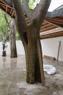 Image 20 of 57