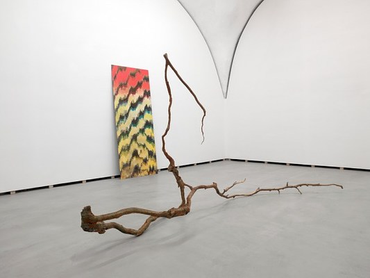 Image 2 of 12