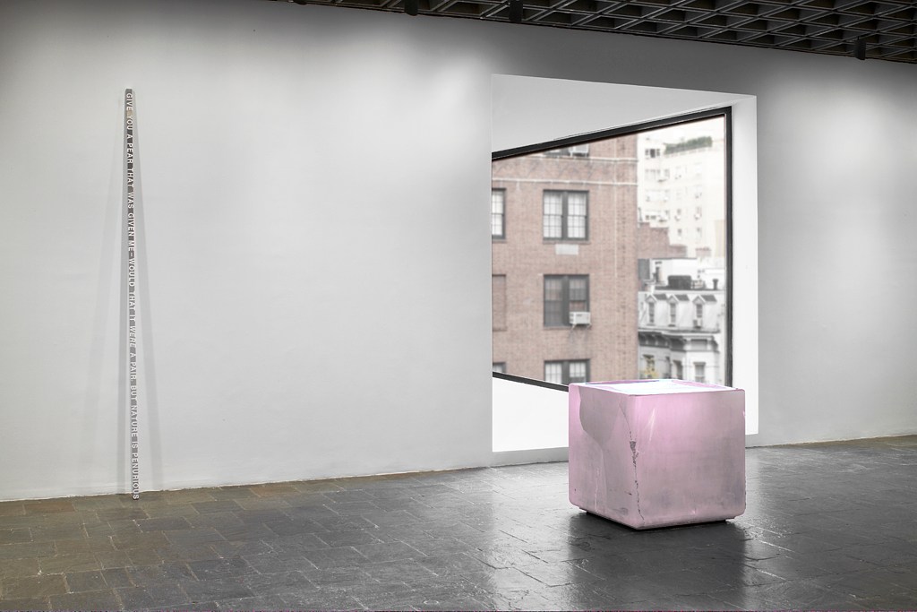 Roni Horn at Whitney Museum of American Art, New York