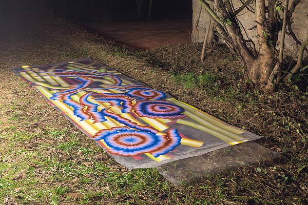 Image 4 of 11