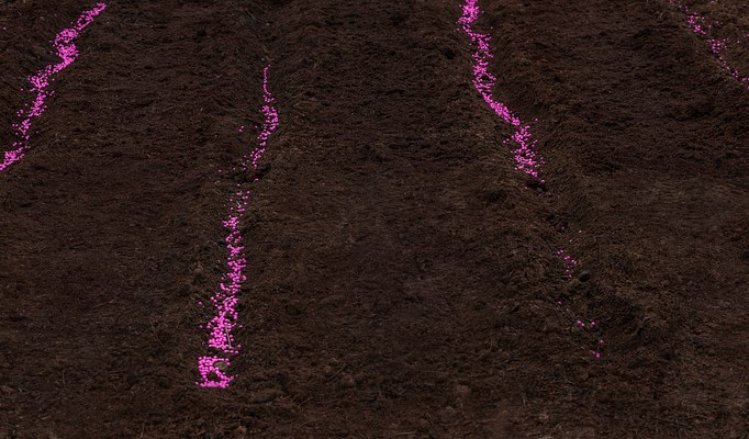 Image 8 of 11