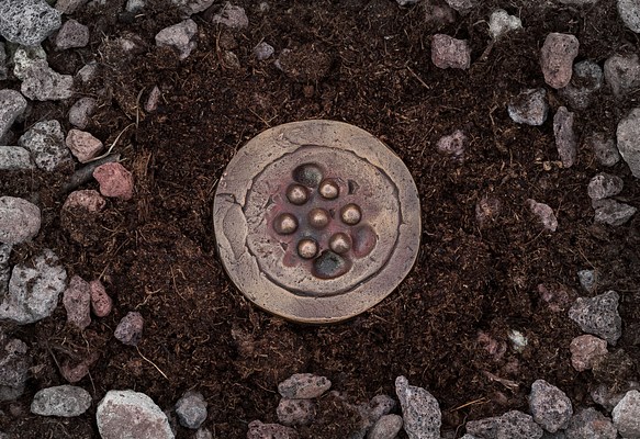 Image 10 of 11