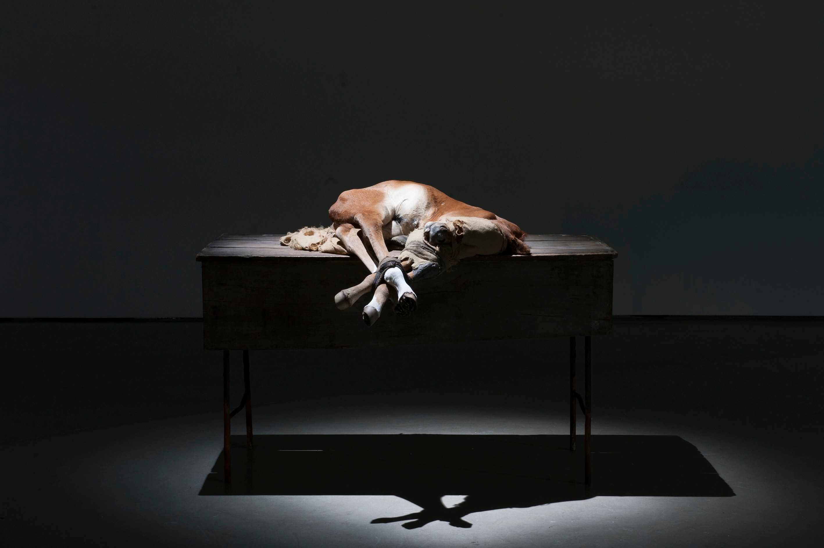 Berlinde De Bruyckere, No Life Lost at Hauser & Wirth, photo 8