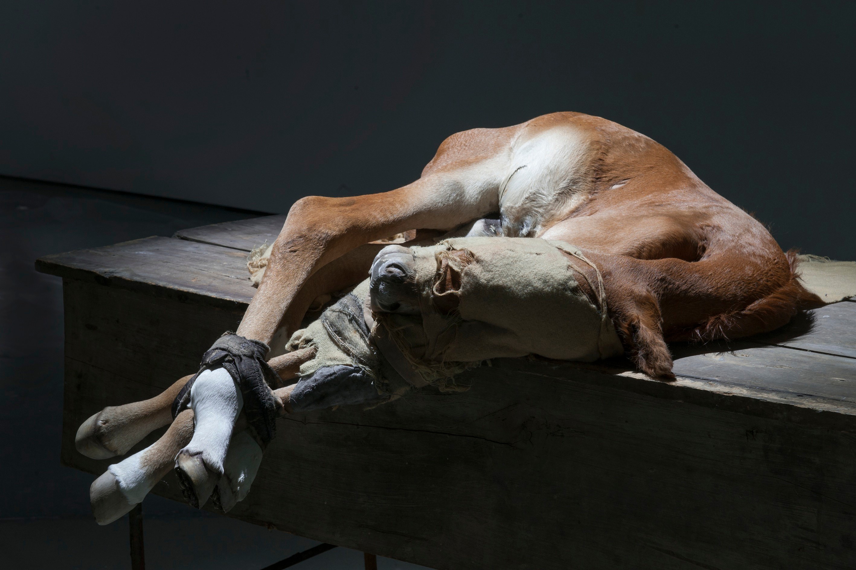 Berlinde De Bruyckere, No Life Lost at Hauser & Wirth, photo 11