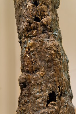Image 22 of 25