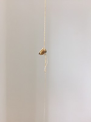 Image 11 of 23