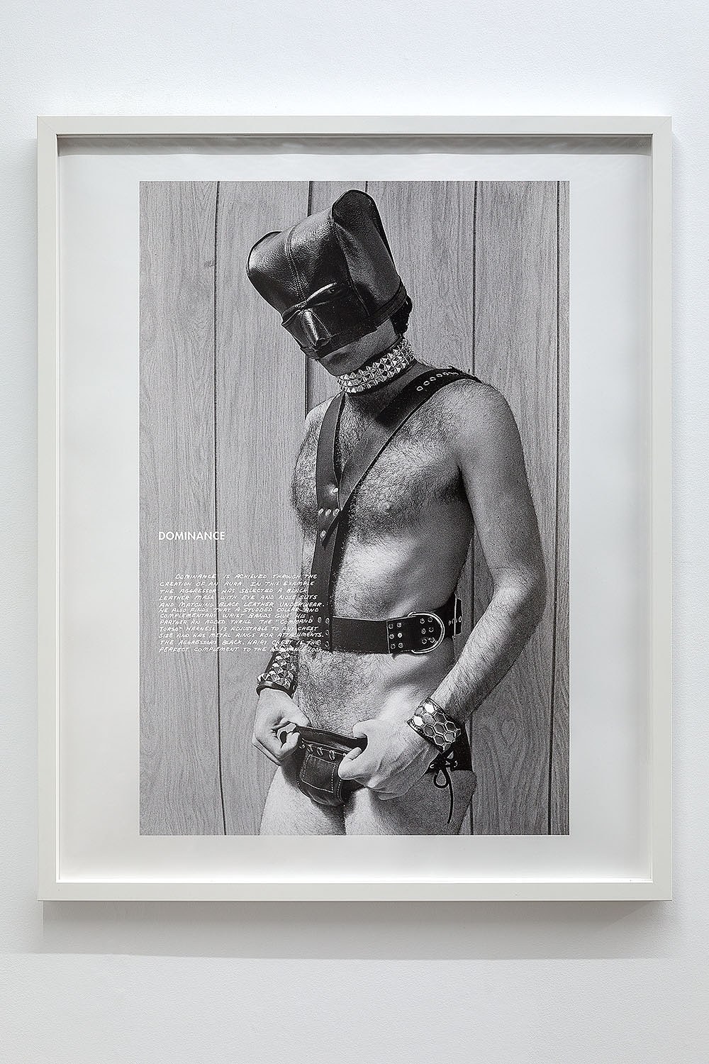 Impulse Control, Impulse Control at Freedman Fitzpatrick, photo 17
