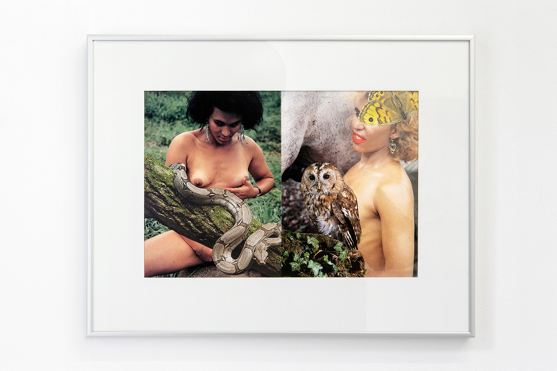 Impulse Control, Impulse Control at Freedman Fitzpatrick, photo 28