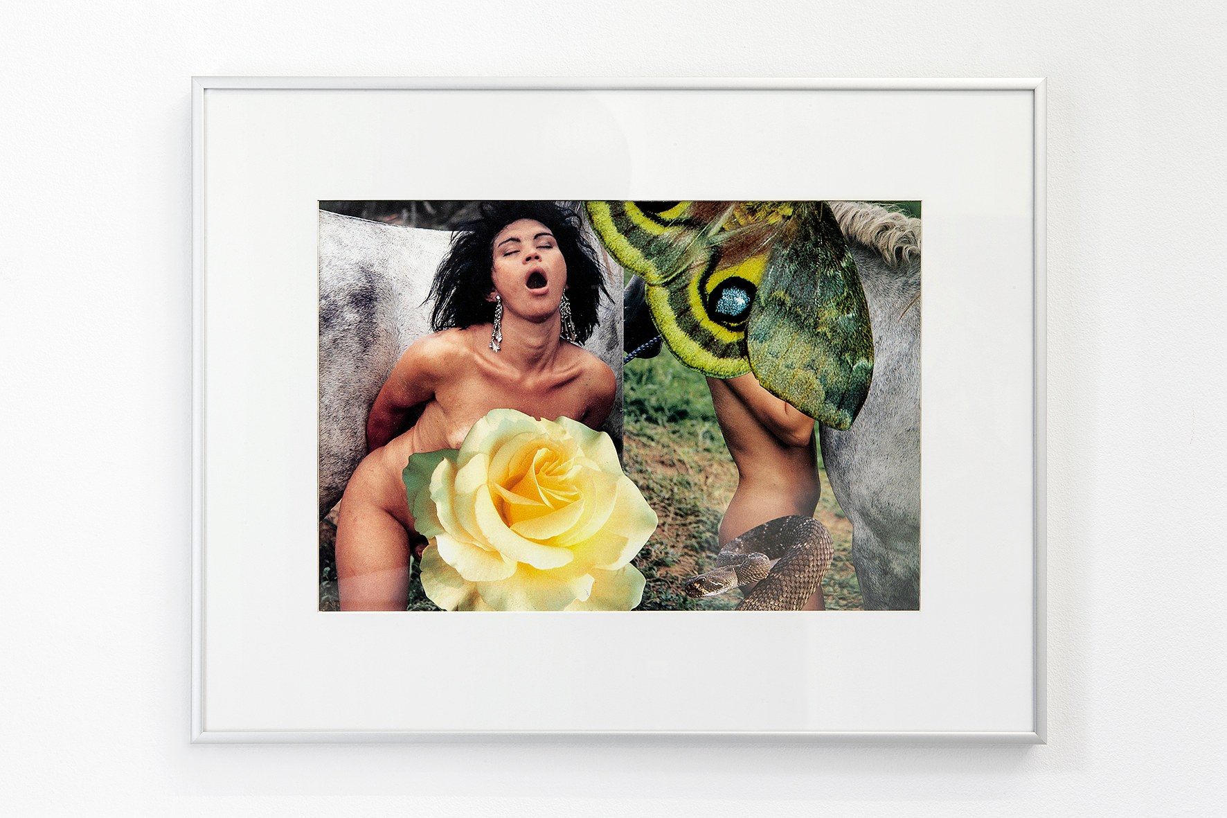 Impulse Control, Impulse Control at Freedman Fitzpatrick, photo 29