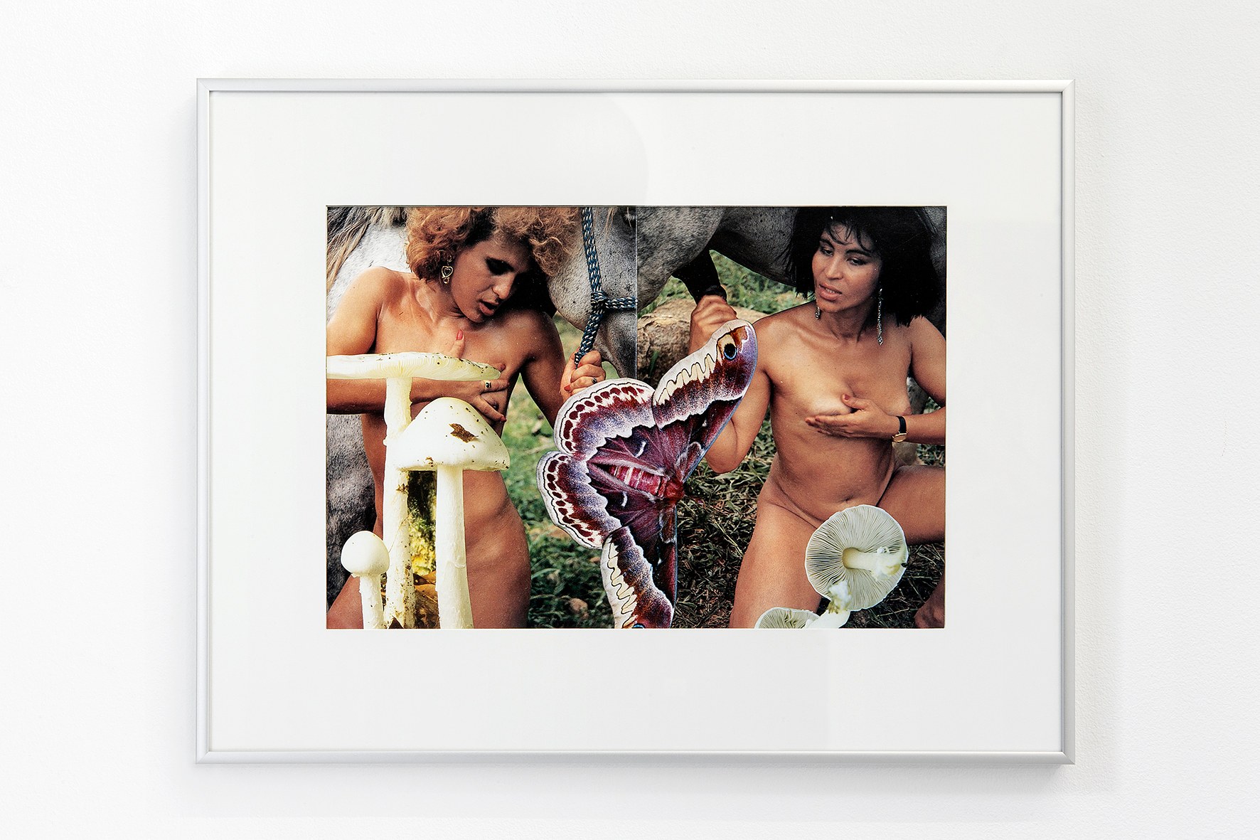 Impulse Control, Impulse Control at Freedman Fitzpatrick, photo 30