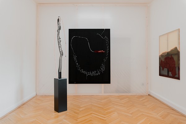 Image 12 of 21