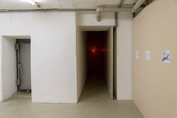 Image 3 of 63