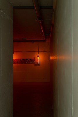 Image 4 of 63