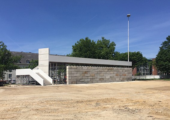 Image 3 of 23