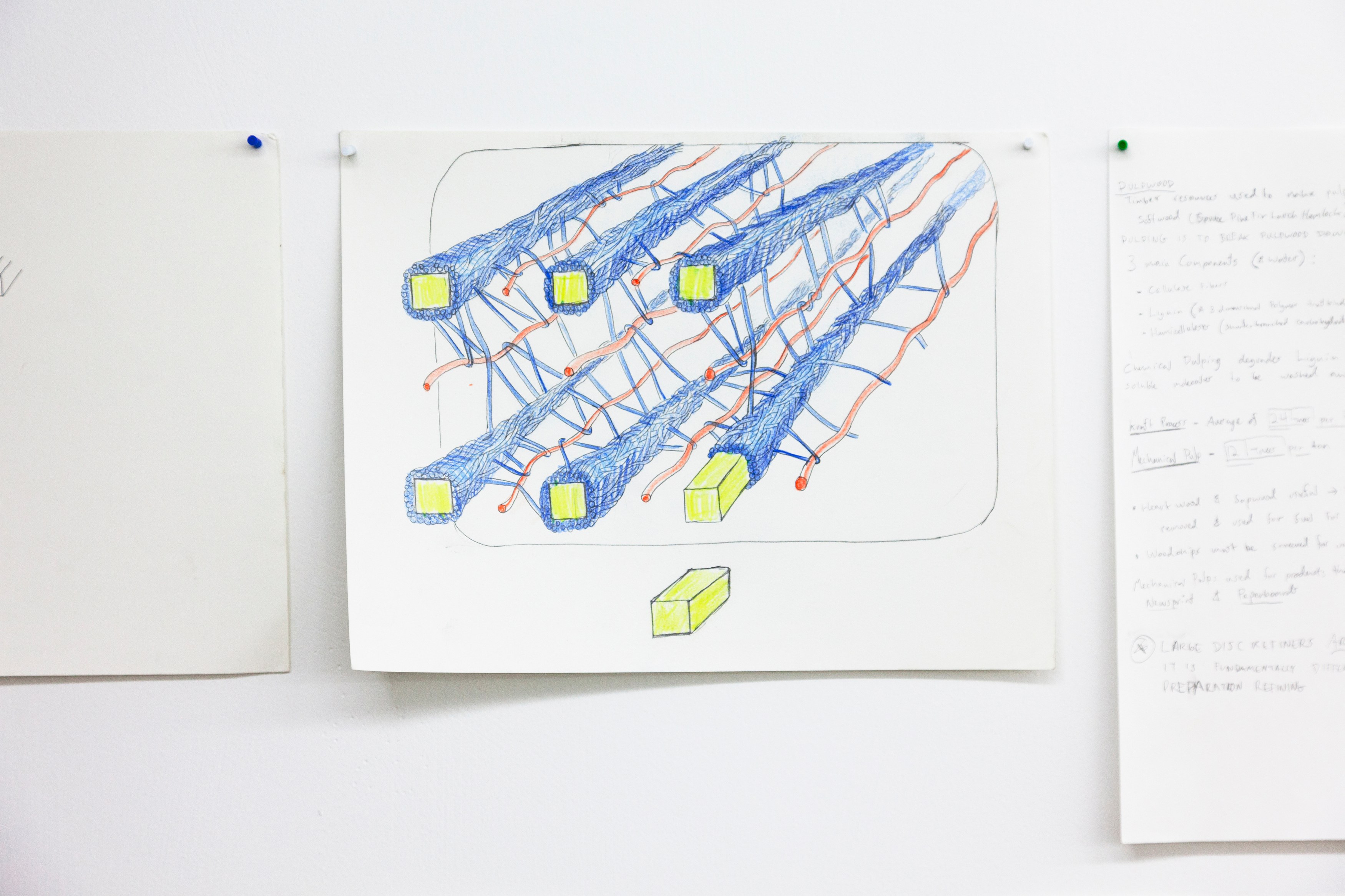 Benjamin Reiss, Package Factory (Natural Marriage of Natural Resources) at Bel Ami, photo 12