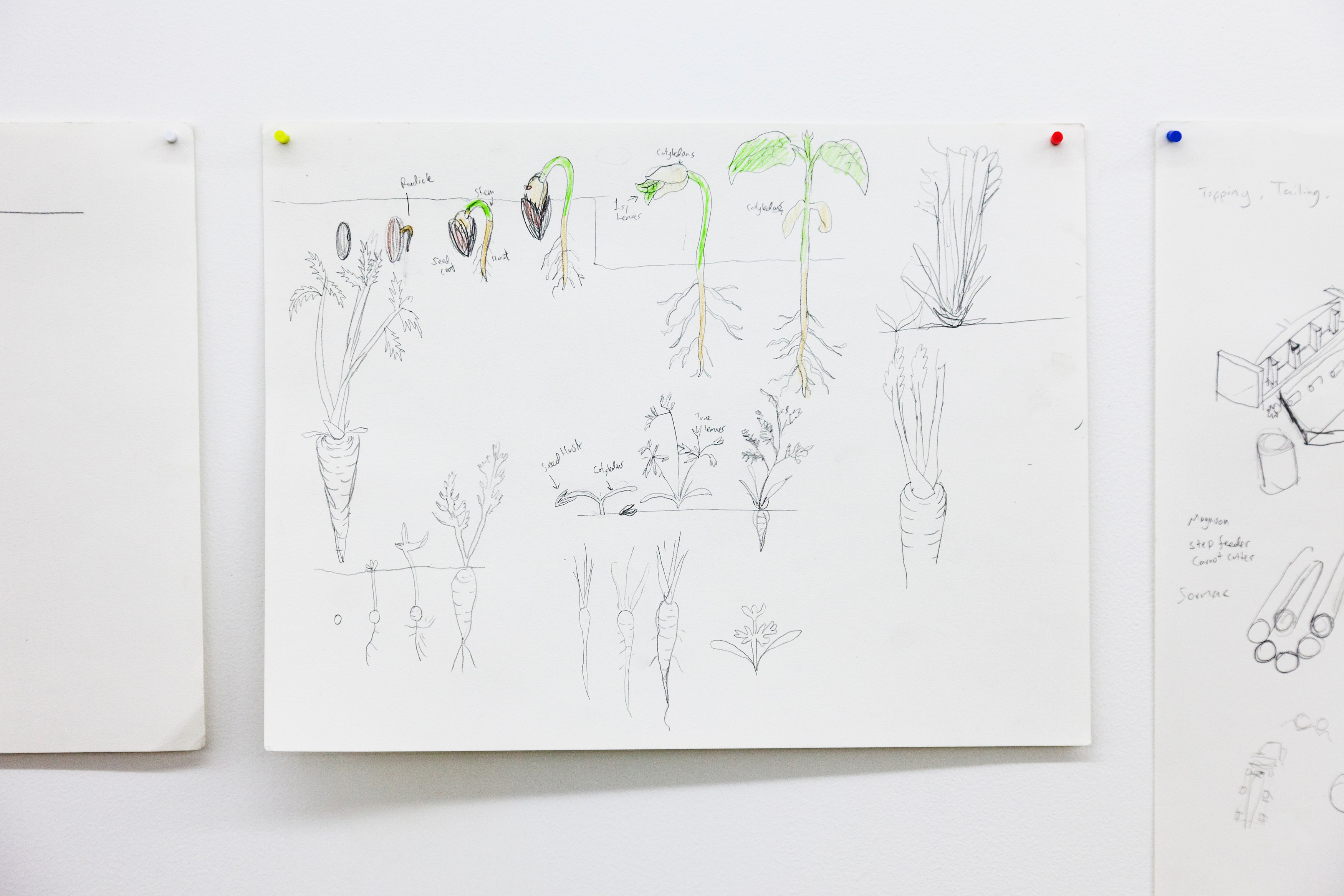 Benjamin Reiss, Package Factory (Natural Marriage of Natural Resources) at Bel Ami, photo 13