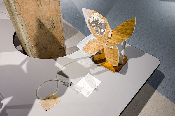 Image 14 of 29