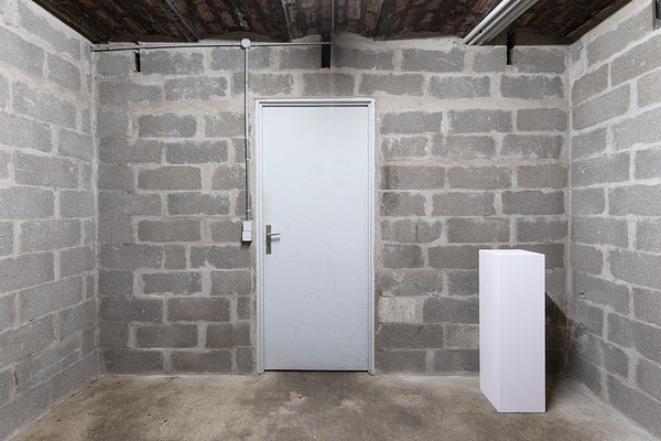 Image 8 of 21