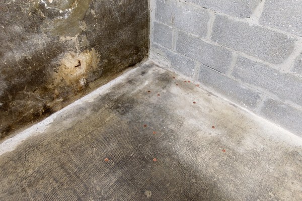 Image 10 of 21