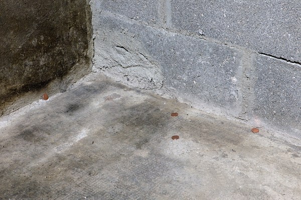 Image 12 of 21