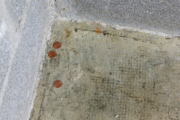 Image 11 of 21