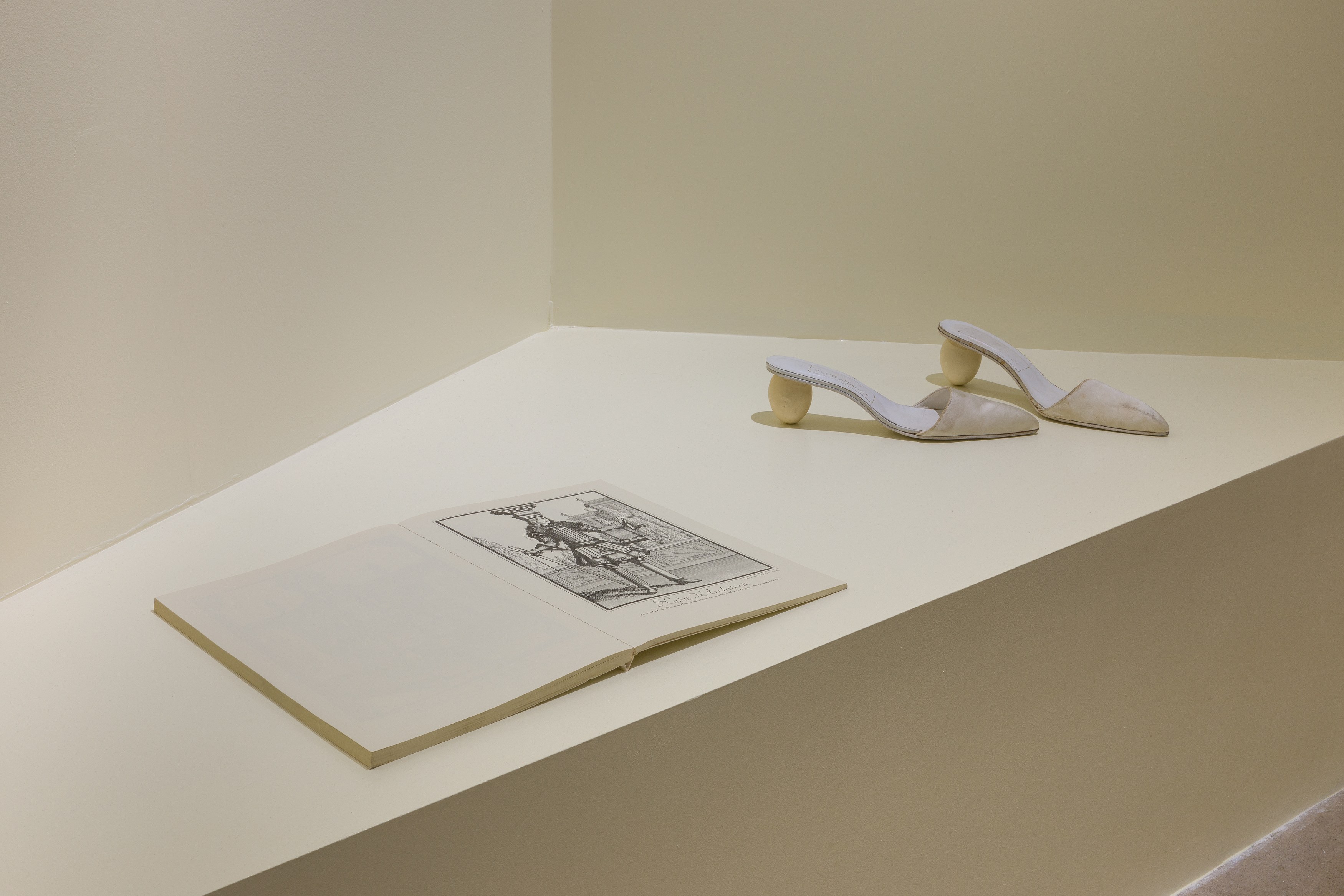 life and limbs, life and limbs at Swiss Institute, photo 24