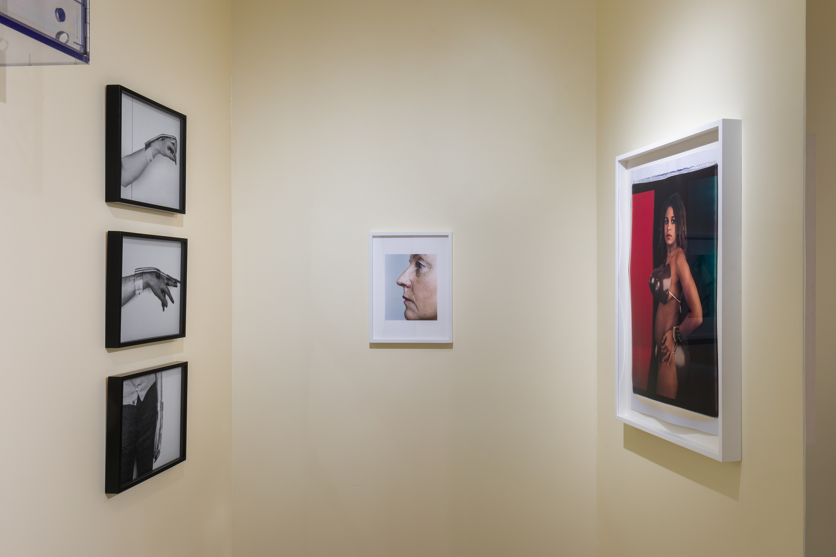 life and limbs, life and limbs at Swiss Institute, photo 5
