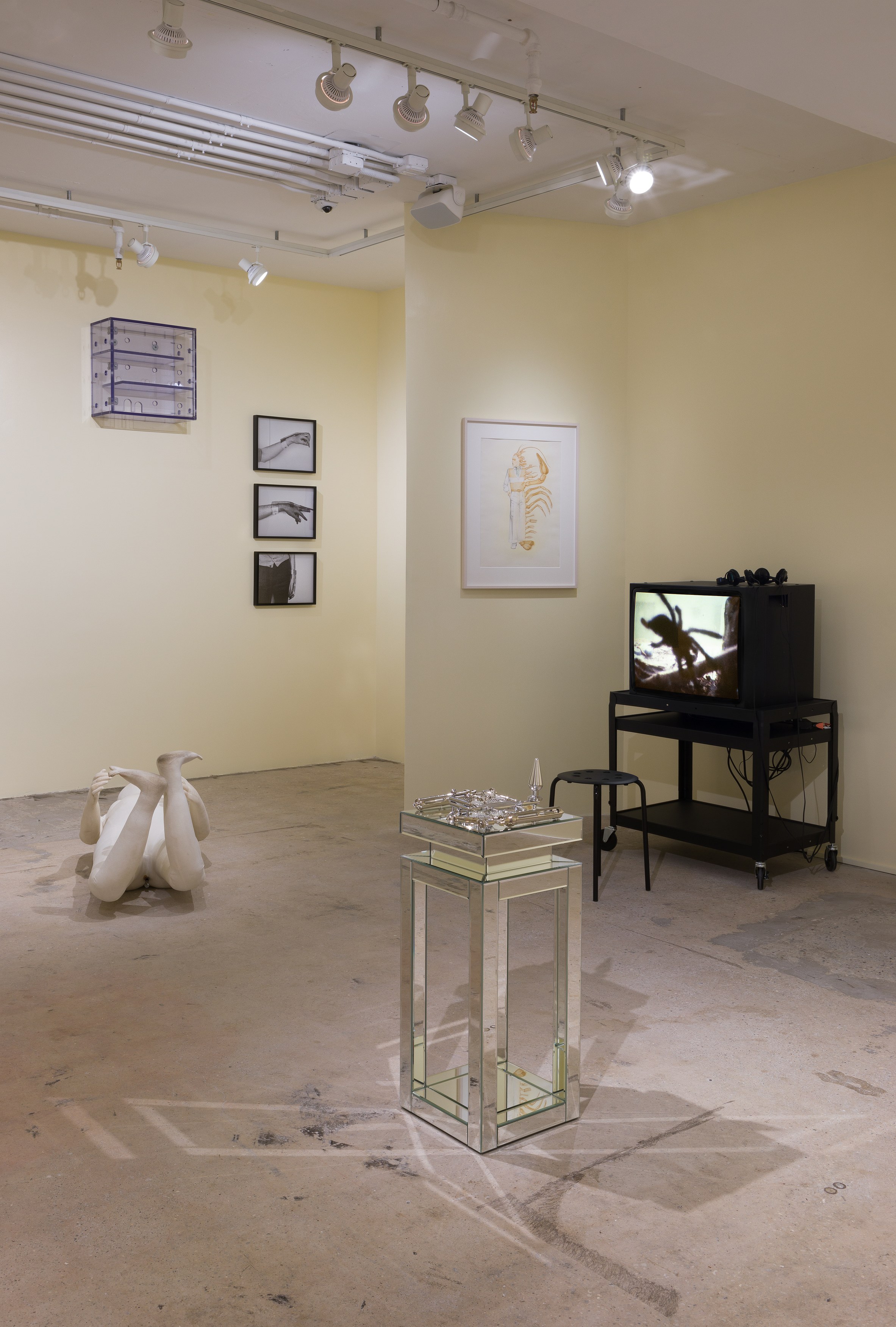 life and limbs, life and limbs at Swiss Institute, photo 10