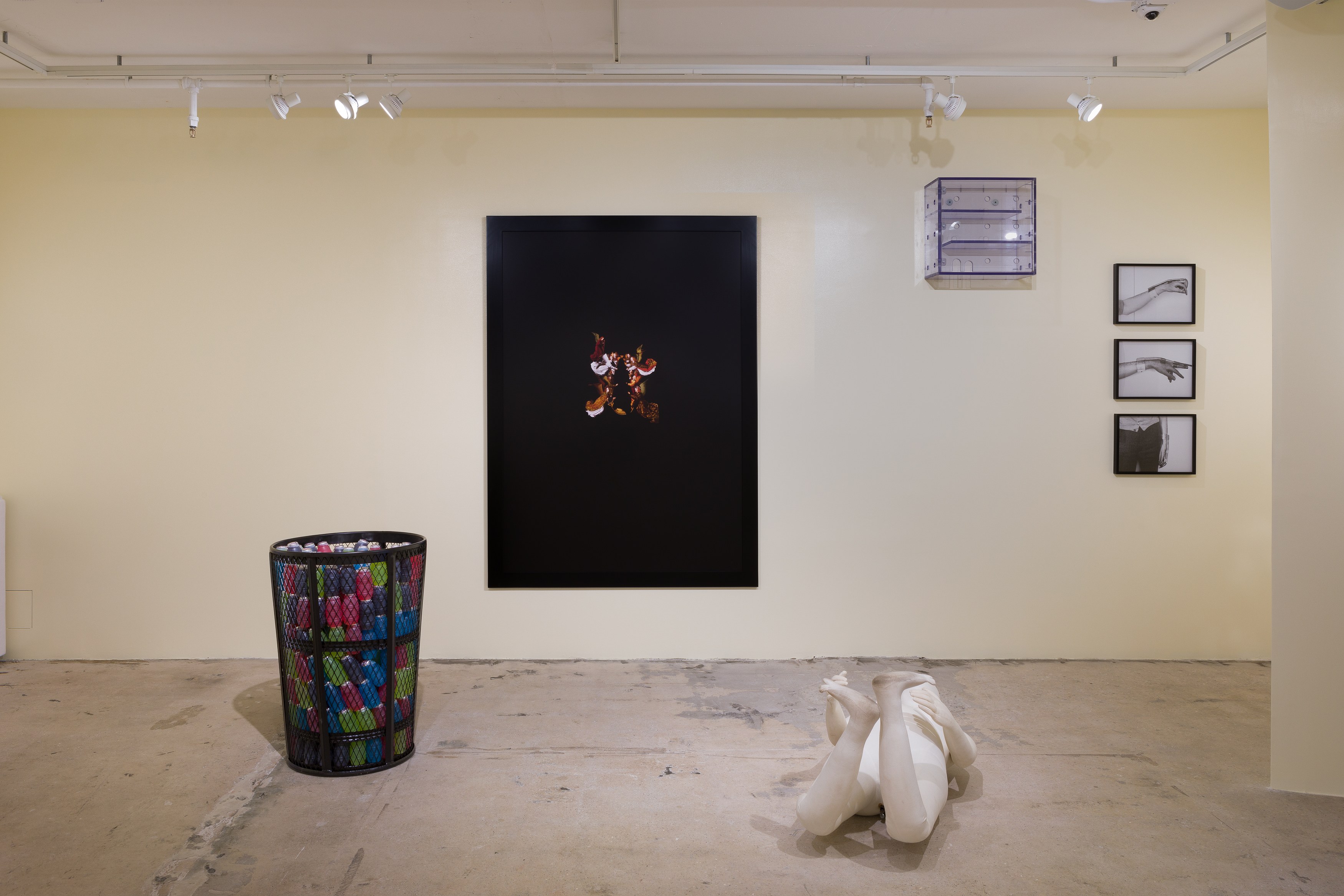 life and limbs, life and limbs at Swiss Institute, photo 15