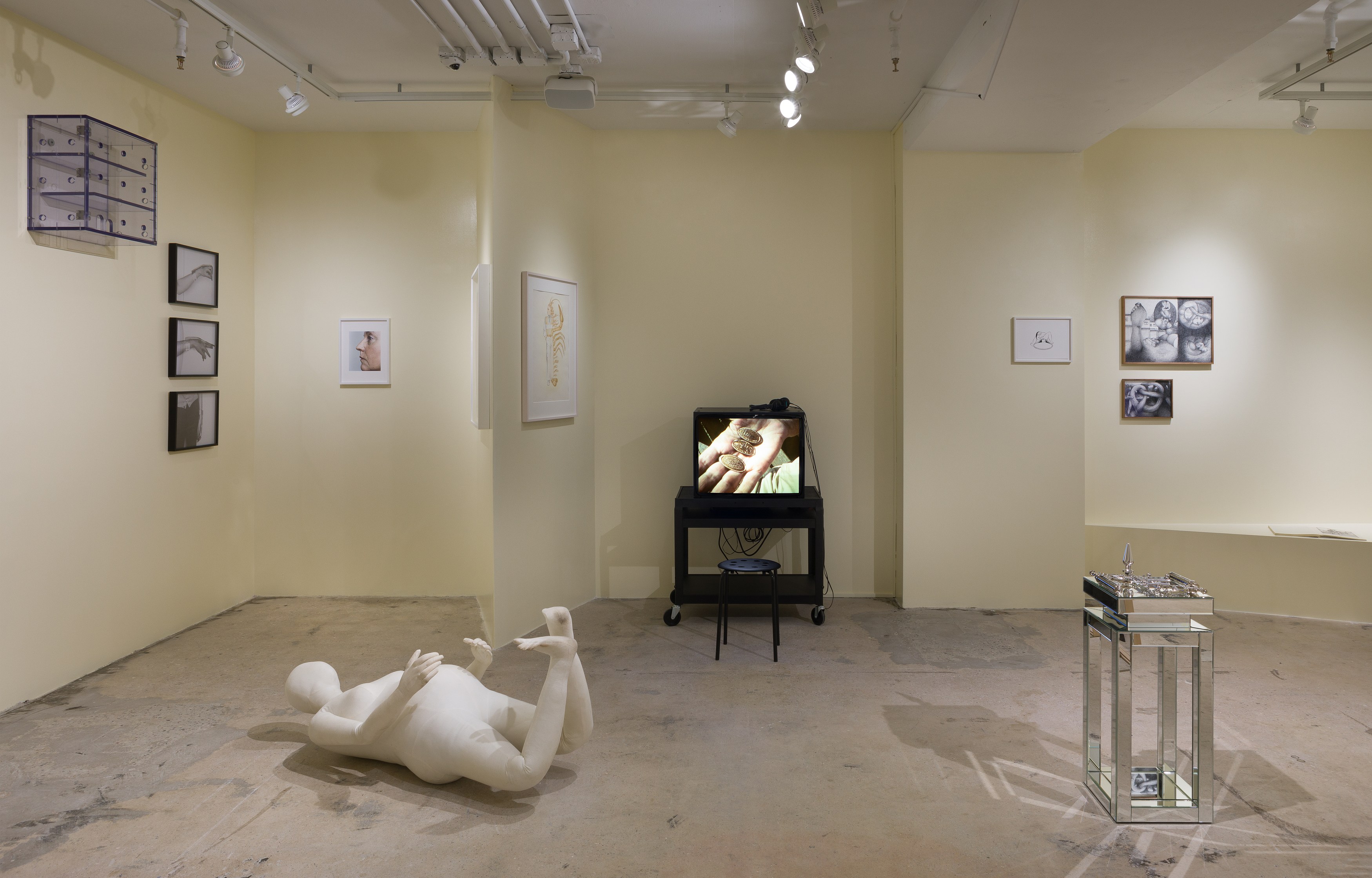 life and limbs, life and limbs at Swiss Institute, photo 12