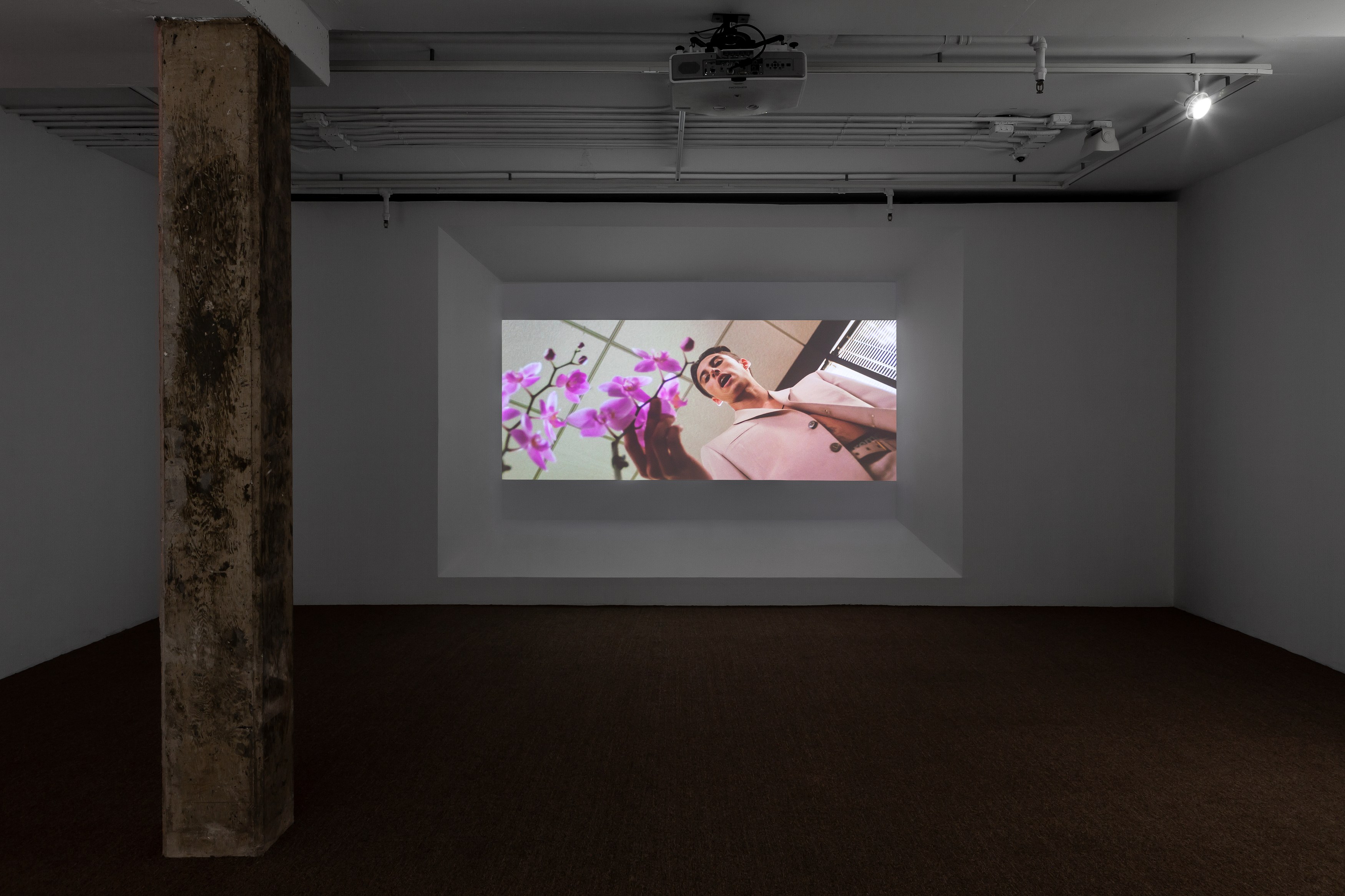 Julien Nguyen, Evil In The Defense of The Good at Swiss Institute, photo 3