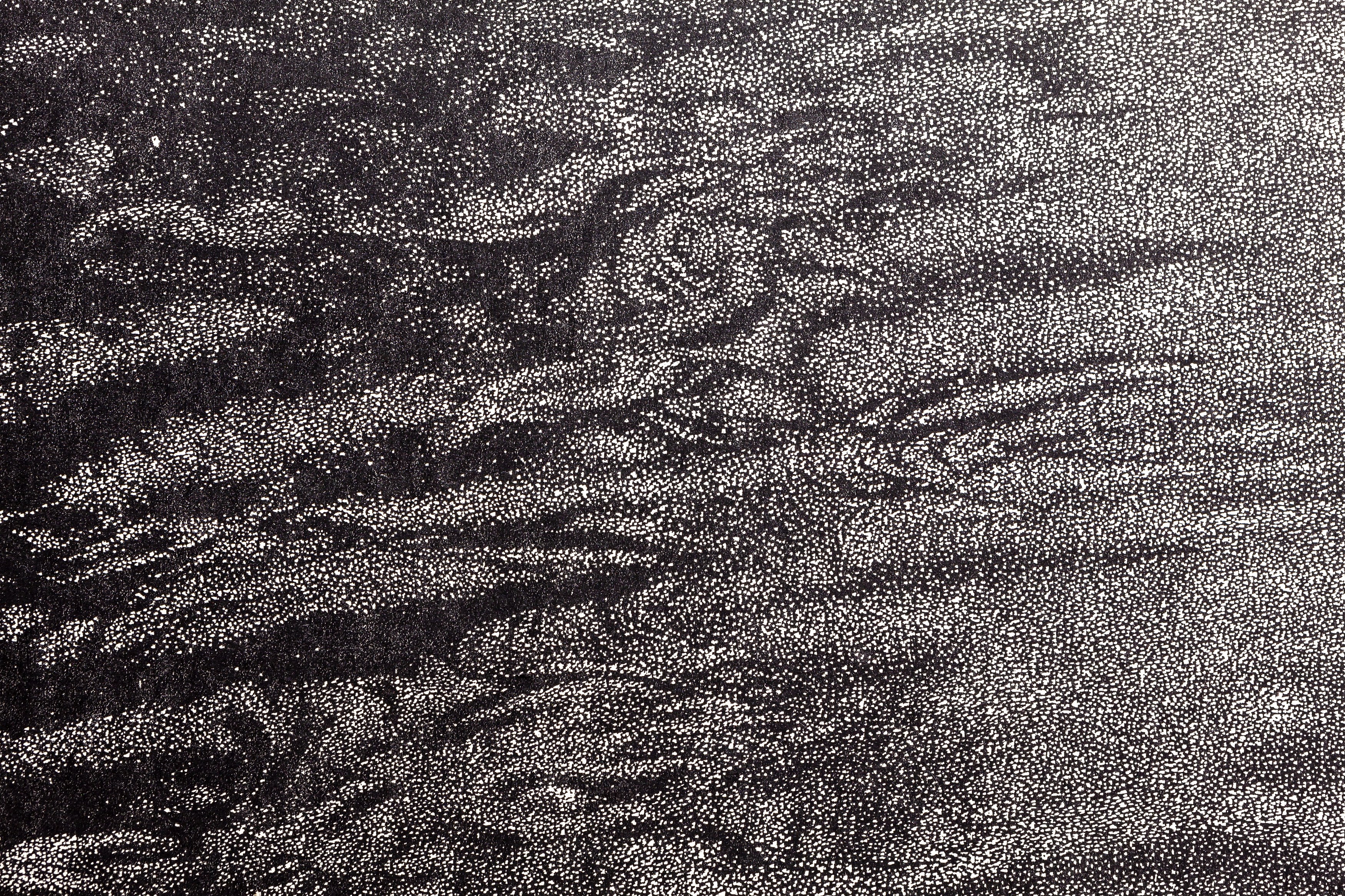 Franz Gertsch, Franz Gertsch: Polyfocal Allover at Swiss Institute, photo 23