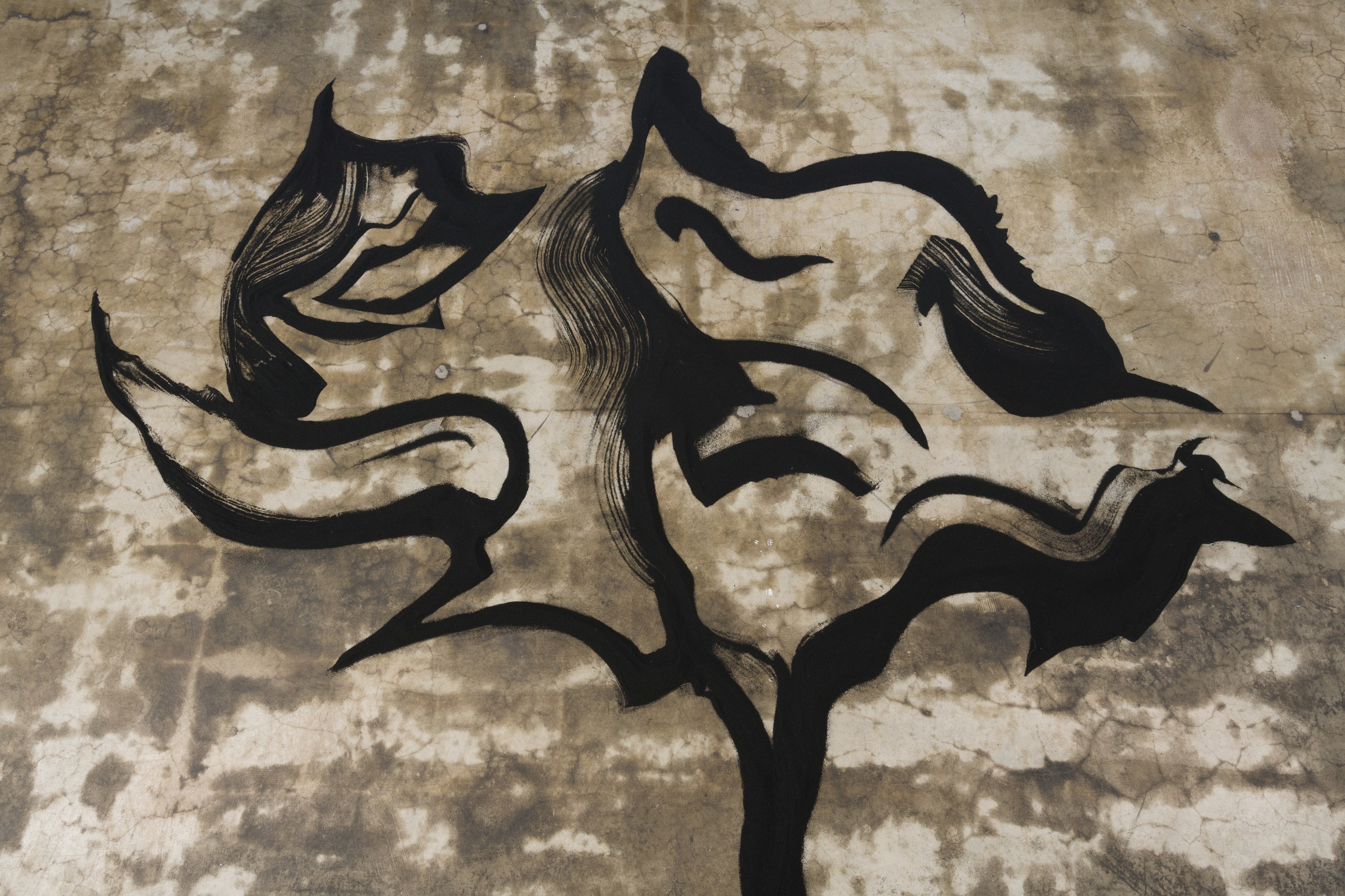 Mira Dancy, Herfugue at Joan, photo 32