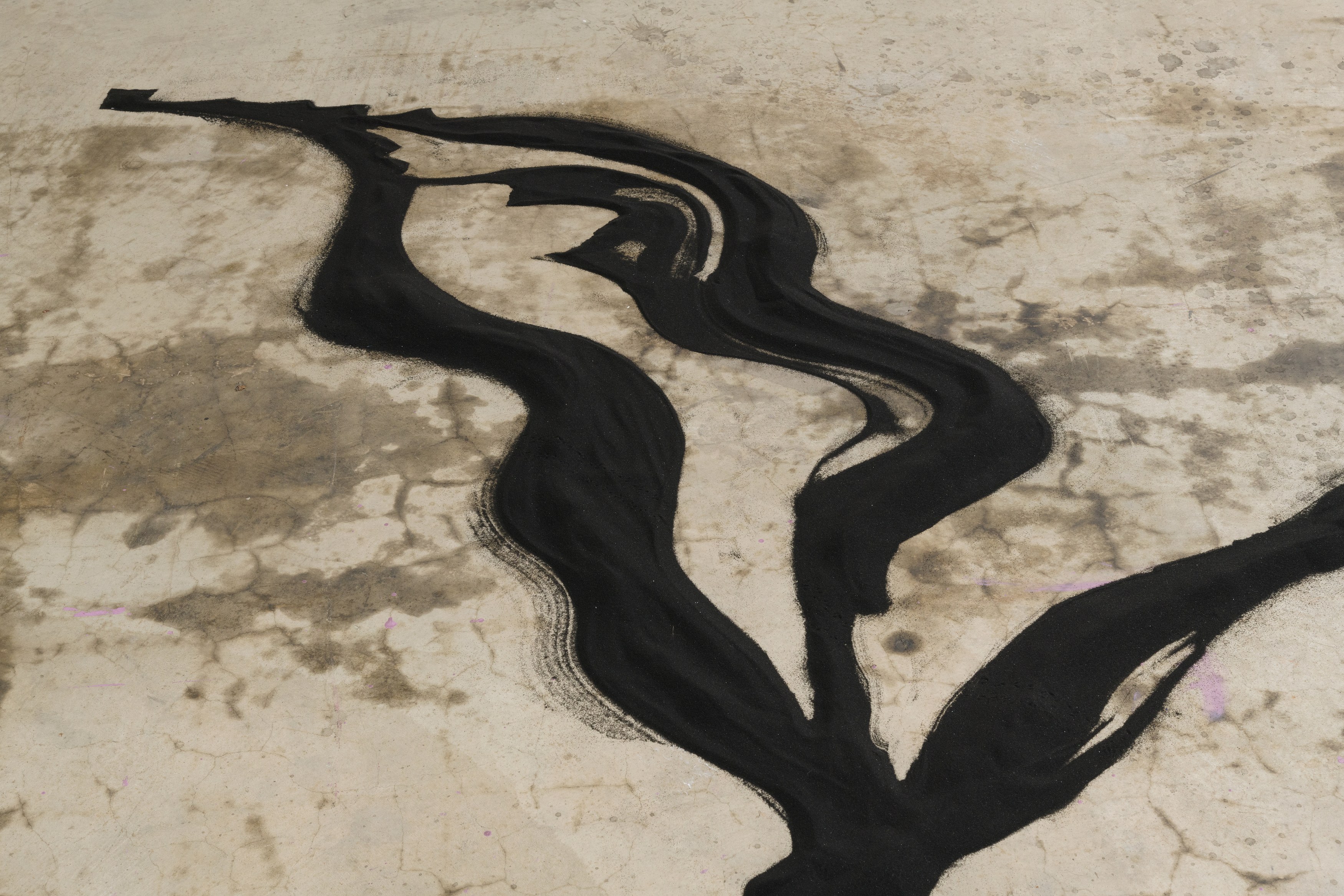 Mira Dancy, Herfugue at Joan, photo 36