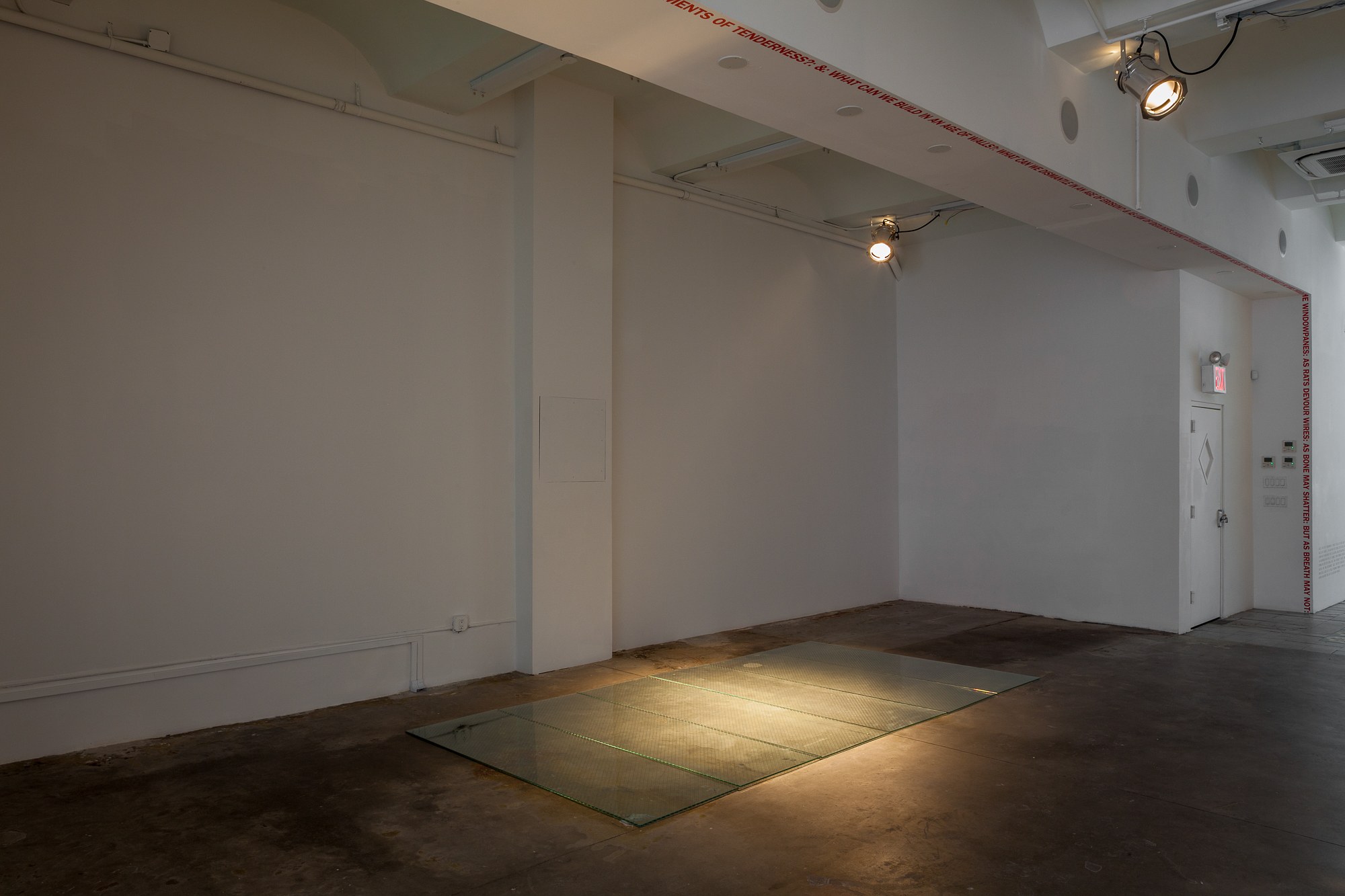 Studio For Propositional Cinema, & faintly heard (as it sinks, slowly): with The Tenderness of Maggots at Swiss Institute, photo 16