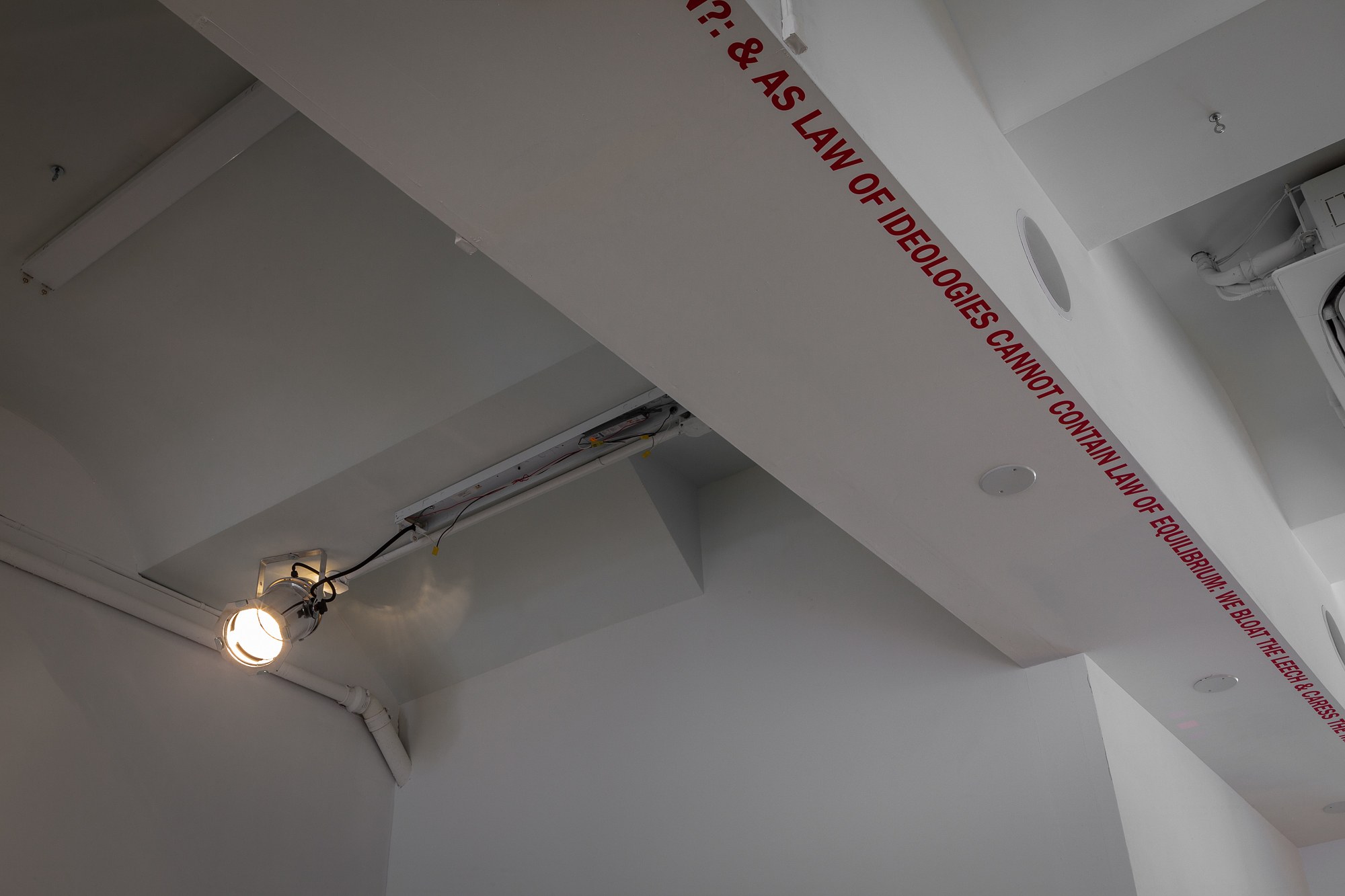 Studio For Propositional Cinema, & faintly heard (as it sinks, slowly): with The Tenderness of Maggots at Swiss Institute, photo 19