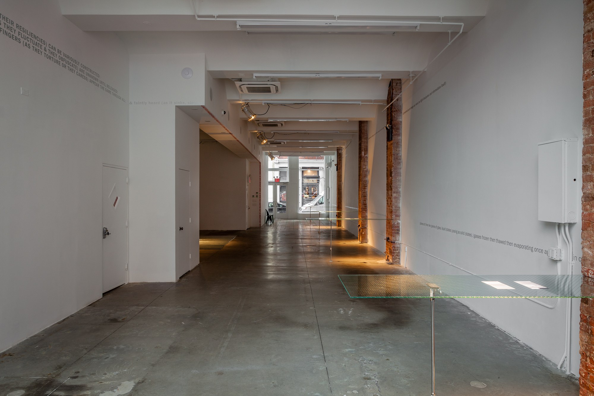 Studio For Propositional Cinema, & faintly heard (as it sinks, slowly): with The Tenderness of Maggots at Swiss Institute, photo 10