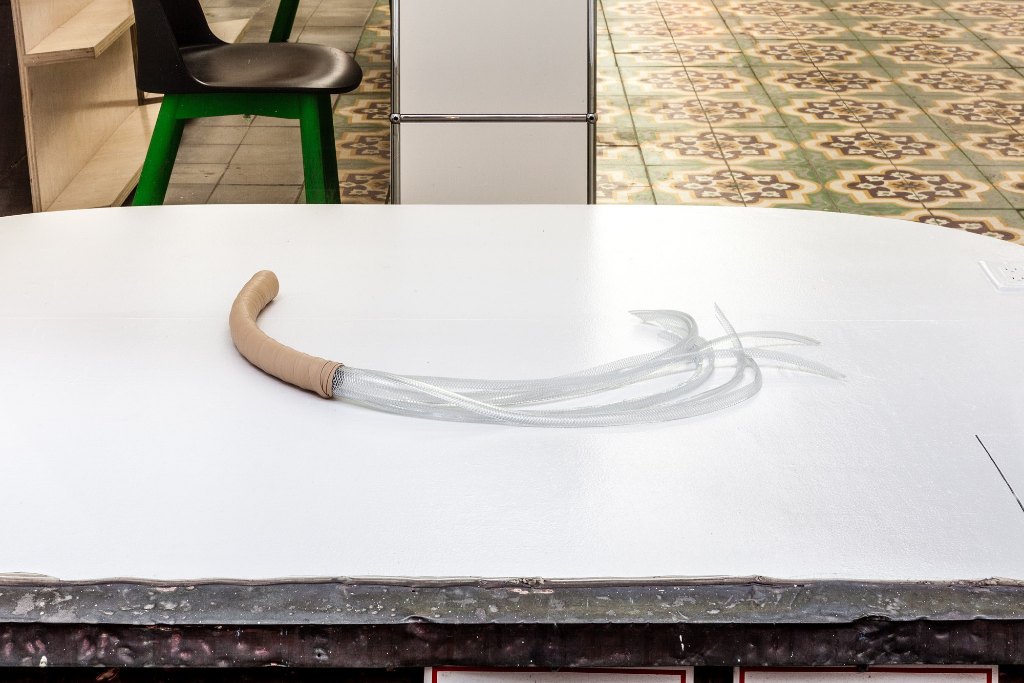 Marta Riniker-Radich, Every home a fortress every hearth a blossom at Swiss Institute, photo 5