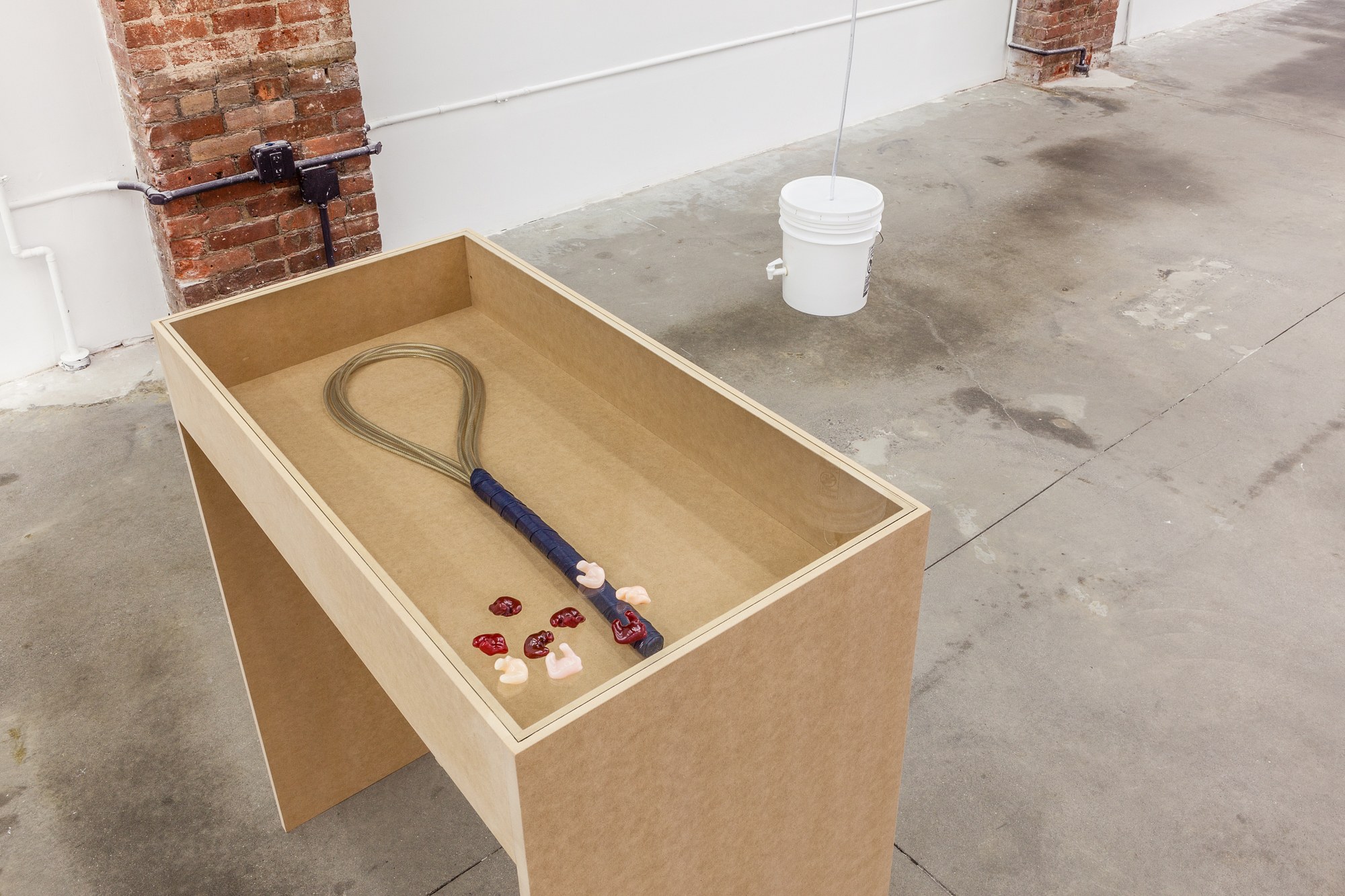Marta Riniker-Radich, Every home a fortress every hearth a blossom at Swiss Institute, photo 12