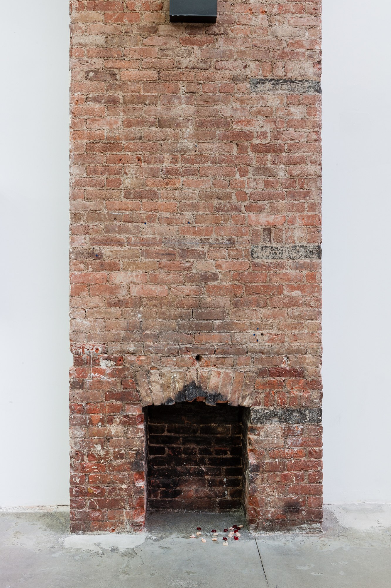 Marta Riniker-Radich, Every home a fortress every hearth a blossom at Swiss Institute, photo 14